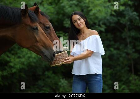 Hübsches Mädchen lächelt streichelt glatt das Pferd`s Mähne auf dem Feld. Zaum, Erwachsener. Stockfoto